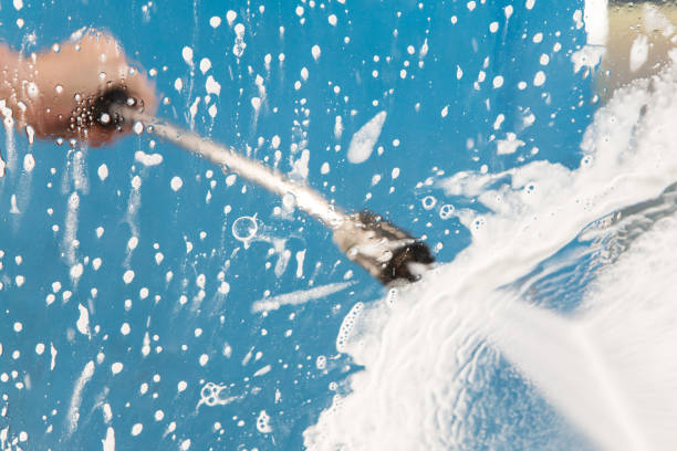 Animal Enclosure Cleaning in Scottsville, KY